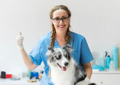 Veterinary practice hospital staff member with thumbs up- website design services for Vets DesignBurst