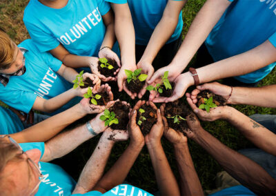 Website design services for non profits and professional services DesignBurst