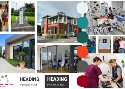 Mood Board Veterinary Specialists Ireland