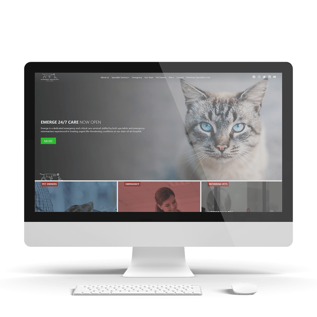 The original Vet Specialists Ireland website on a screen before working with us